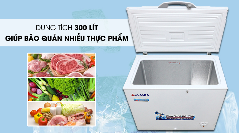 Tủ đông Alaska 300 lít BD-300