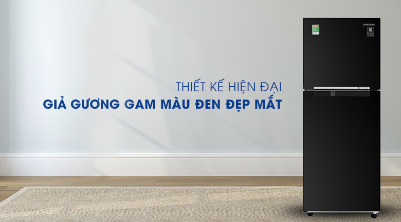 Tủ lạnh Samsung Inverter 208 lít RT20HAR8DBU