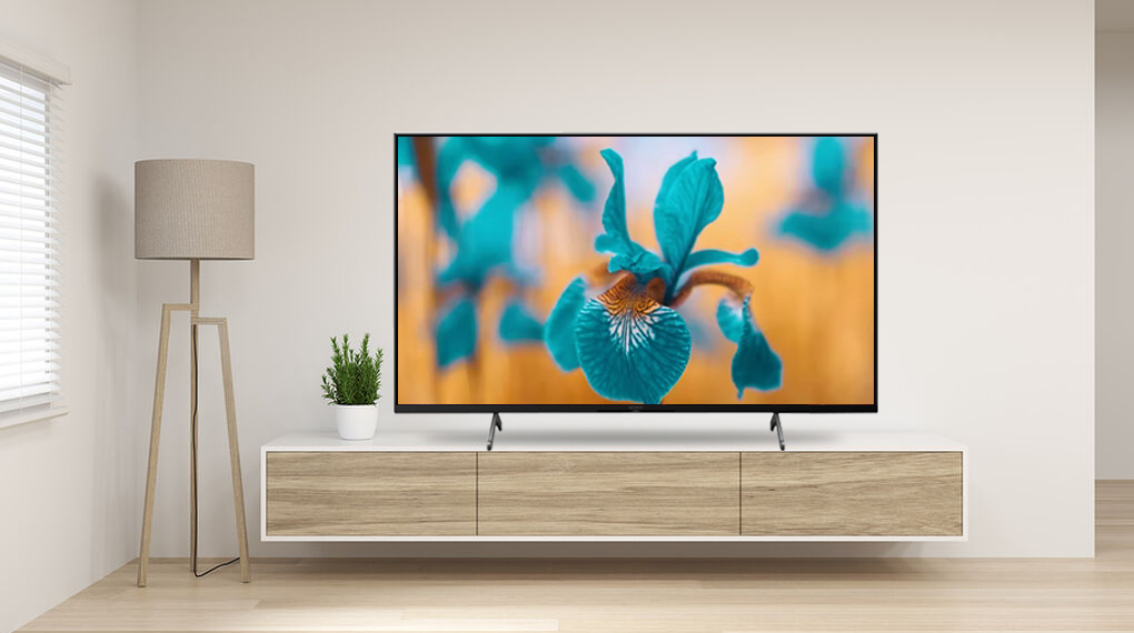 Google Tivi Sony 4K 65 inch KD-65X81DK