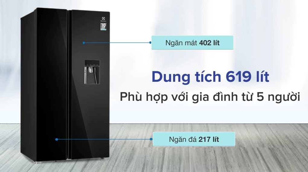 Tủ lạnh Electrolux Inverter 619 lít ESE6645A-BVN