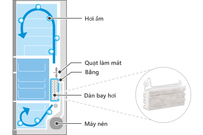 Tủ lạnh Hitachi Inverter 540 lít R-HW540RV(X)