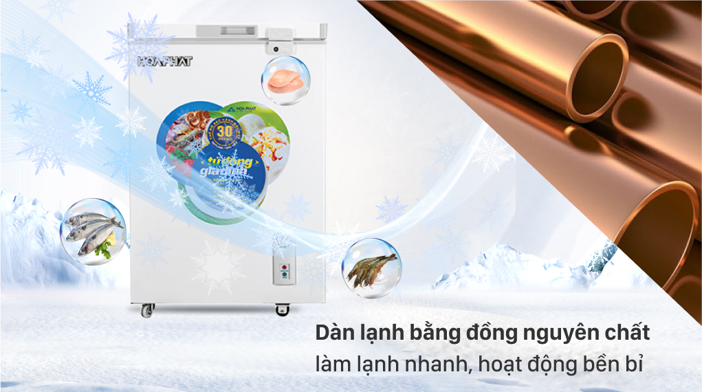 Tủ đông Hòa Phát 107 lít HCF 106S1Đ