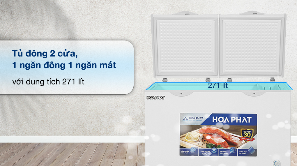 Tủ đông Hòa Phát 271 Lít HCF 656S2N2/ HPF BN6271