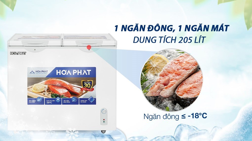 Tủ đông Hòa Phát 205 Lít HCF 506S2Đ2/ HPF BD6205