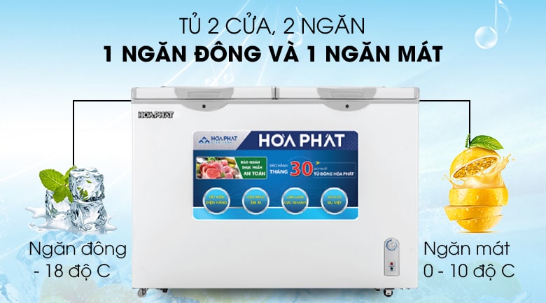 Tủ đông Hòa Phát 271 lít HCF 656S2Đ2/ HPF BD6271