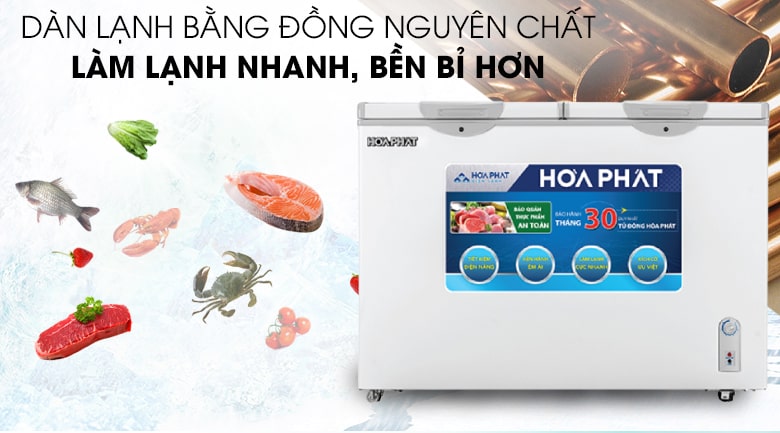 Tủ đông Hòa Phát 271 lít HCF 656S2Đ2/ HPF BD6271