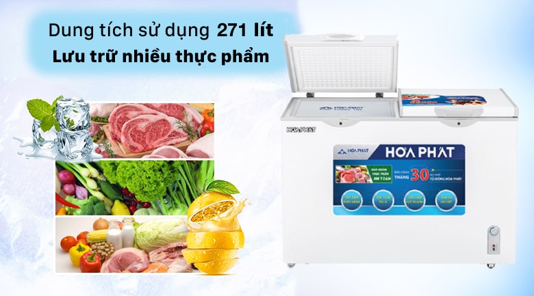 Tủ đông Hòa Phát 271 lít HCF 656S2Đ2/ HPF BD6271