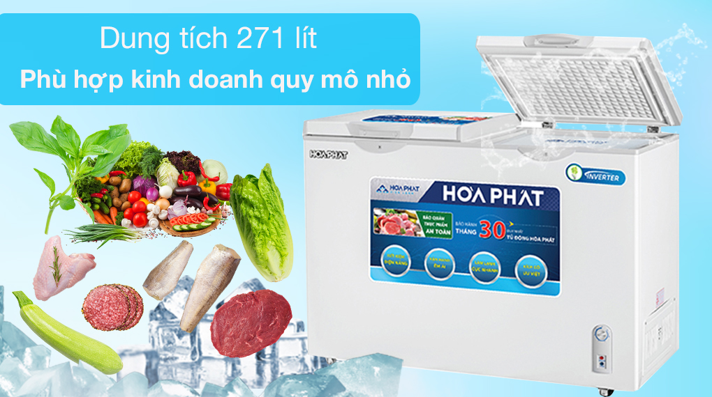 Tủ đông Hòa Phát 271 lít HCFI 656 S2Đ2 /HPF BD8271