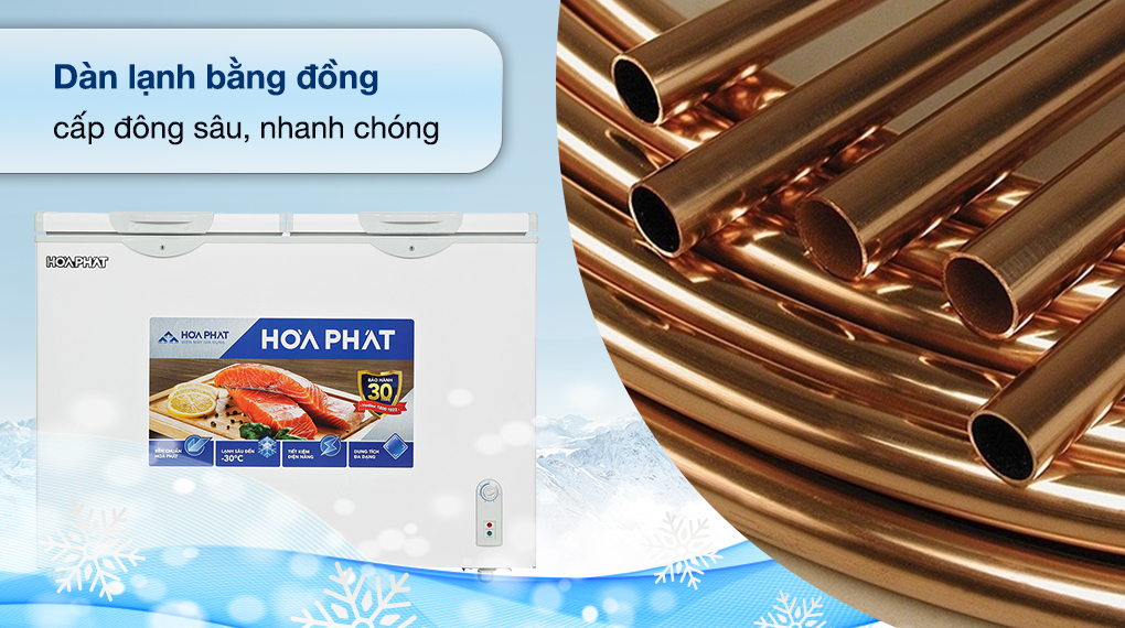 Tủ đông Hòa Phát 245 Lít HPF BD6245.T1