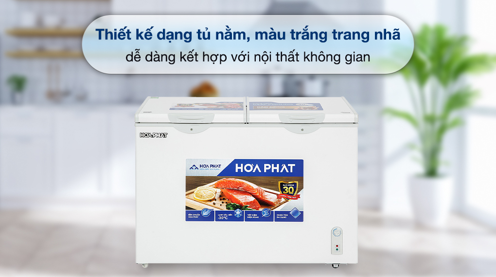 Tủ đông Hòa Phát 245 Lít HPF BD6245.T1