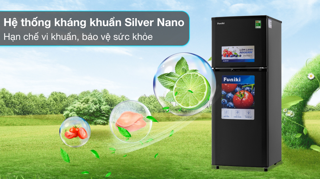 Tủ lạnh Funiki 209 lít HR T6209TDG