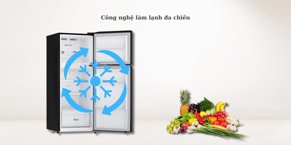 Tủ lạnh LG 217 lít LTB21BLMD
