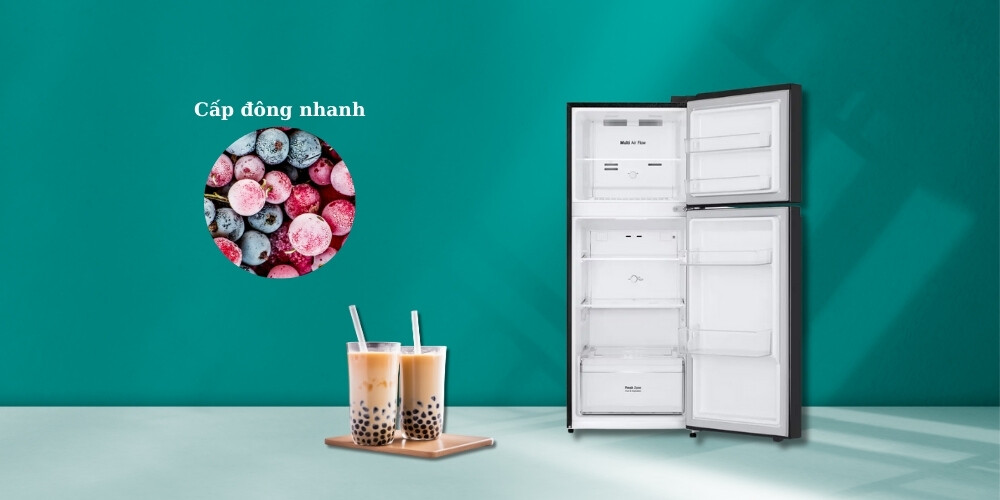 Tủ lạnh LG 217 lít LTB21BLMD