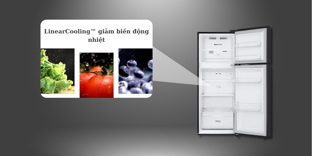 Tủ lạnh LG 217 lít LTB21BLMD