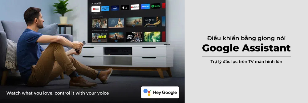 Google Tivi TCL 4K 65 Inch 65P6K