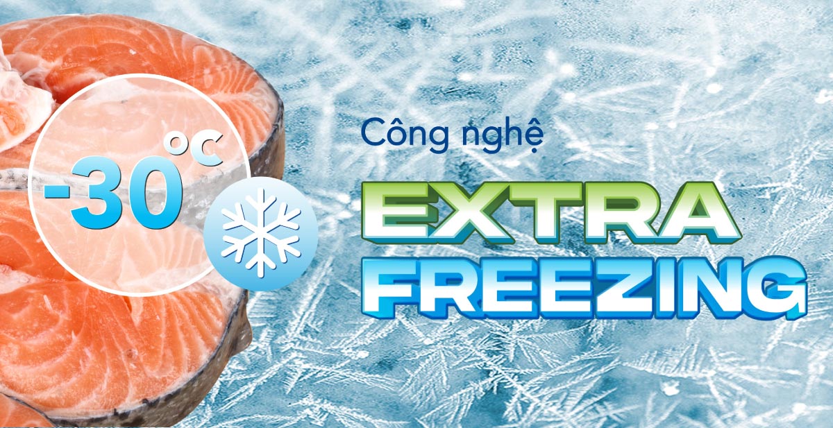 Tủ Đông Hòa Phát 162 Lít HPF AN6162