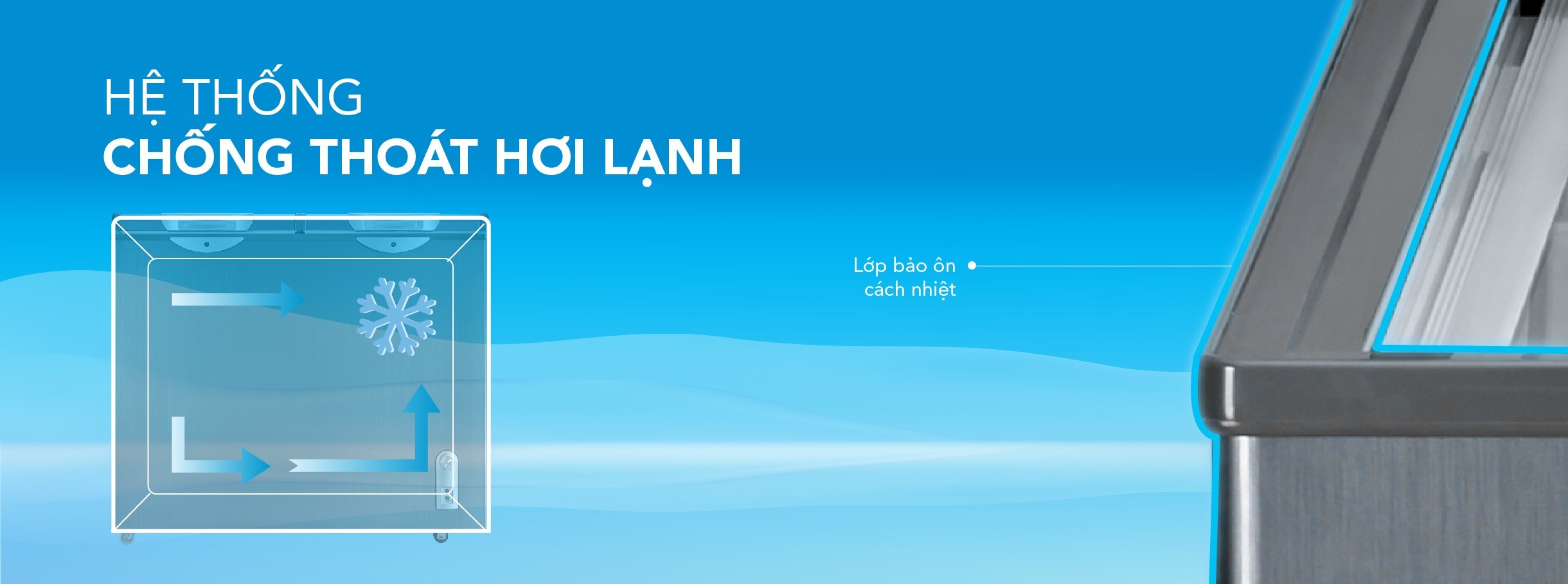 Tủ đông Hòa Phát 205 Lít HPF BD6205G
