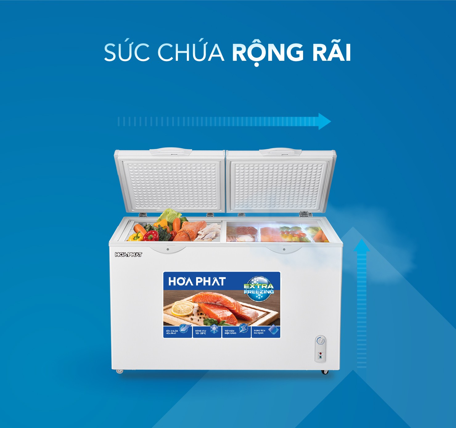 Tủ đông Hòa Phát 271 Lít HPF BN6271