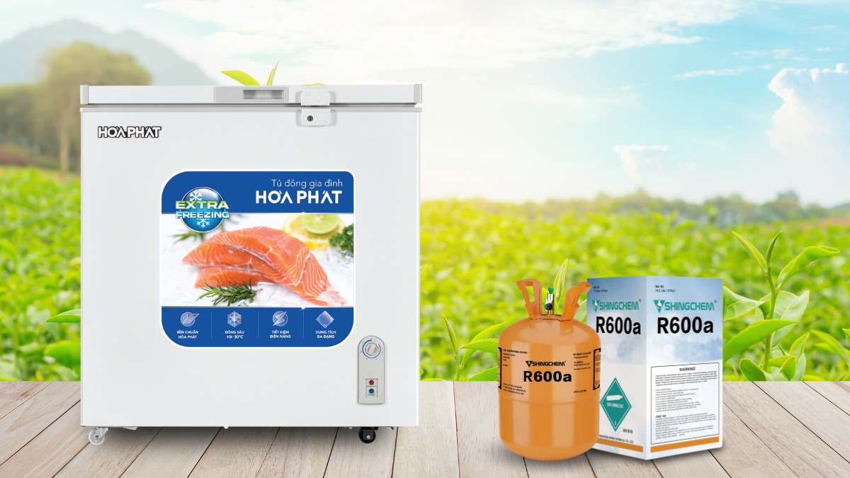 Tủ Đông Hòa Phát 162 Lít HPF AN6162