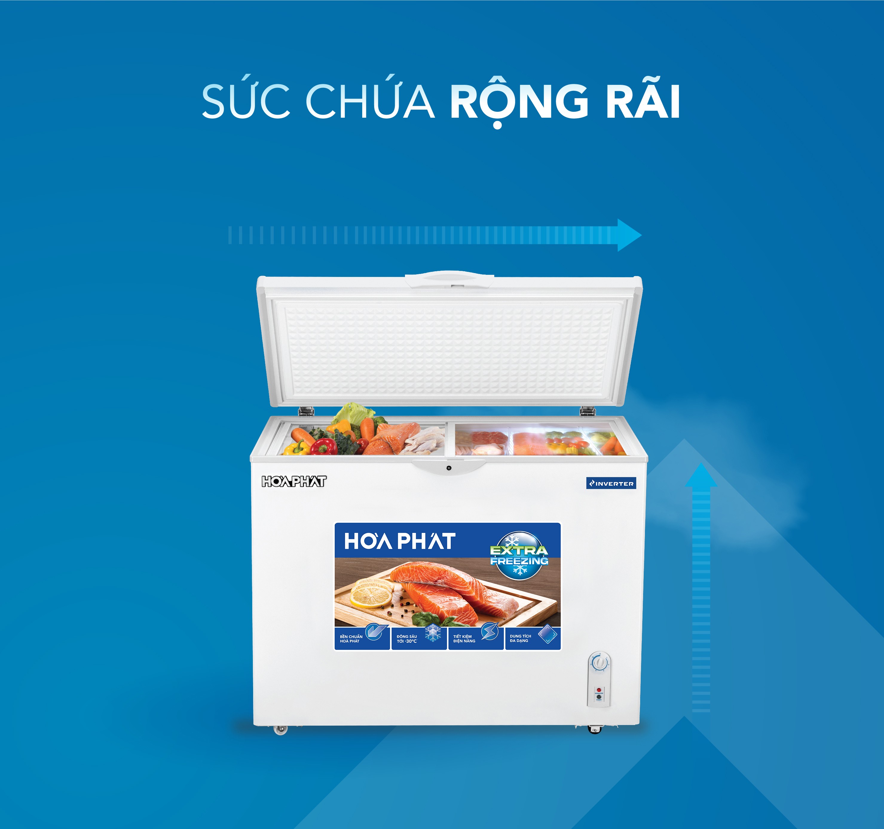 Tủ đông Hòa Phát Inverter 252 Lít HPF AD8252