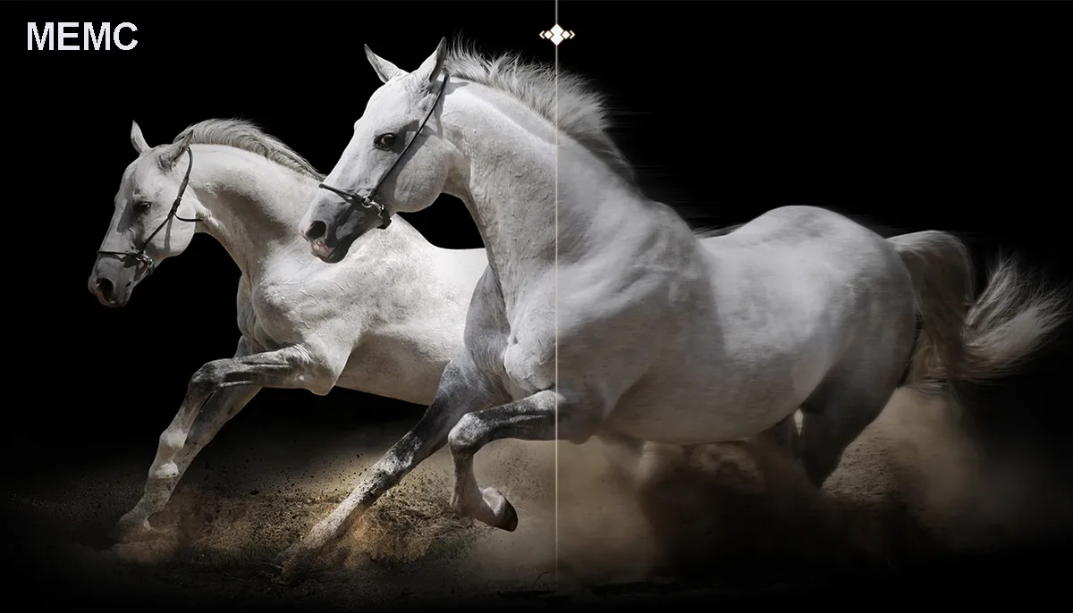 Google Tivi Xiaomi QLED 4K 100 inch Max 100 L100MA-MAXEA