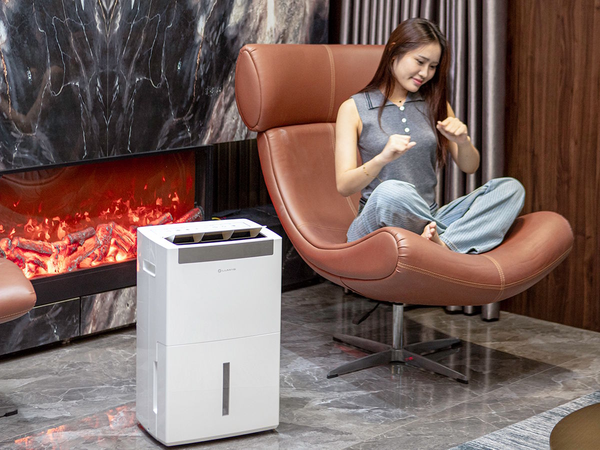 Máy hút ẩm kết hợp lọc không khí Lumias D6S-30L