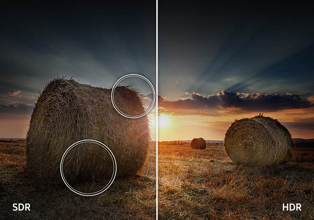 Smart Tivi QLED Samsung 55 inch 4K QA55Q7F5