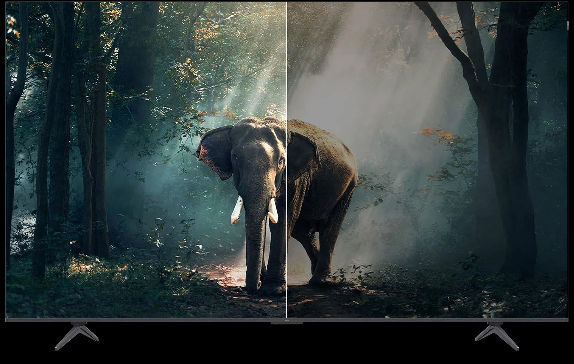 Google Tivi QLED TCL 4K 98 inch 98P8K