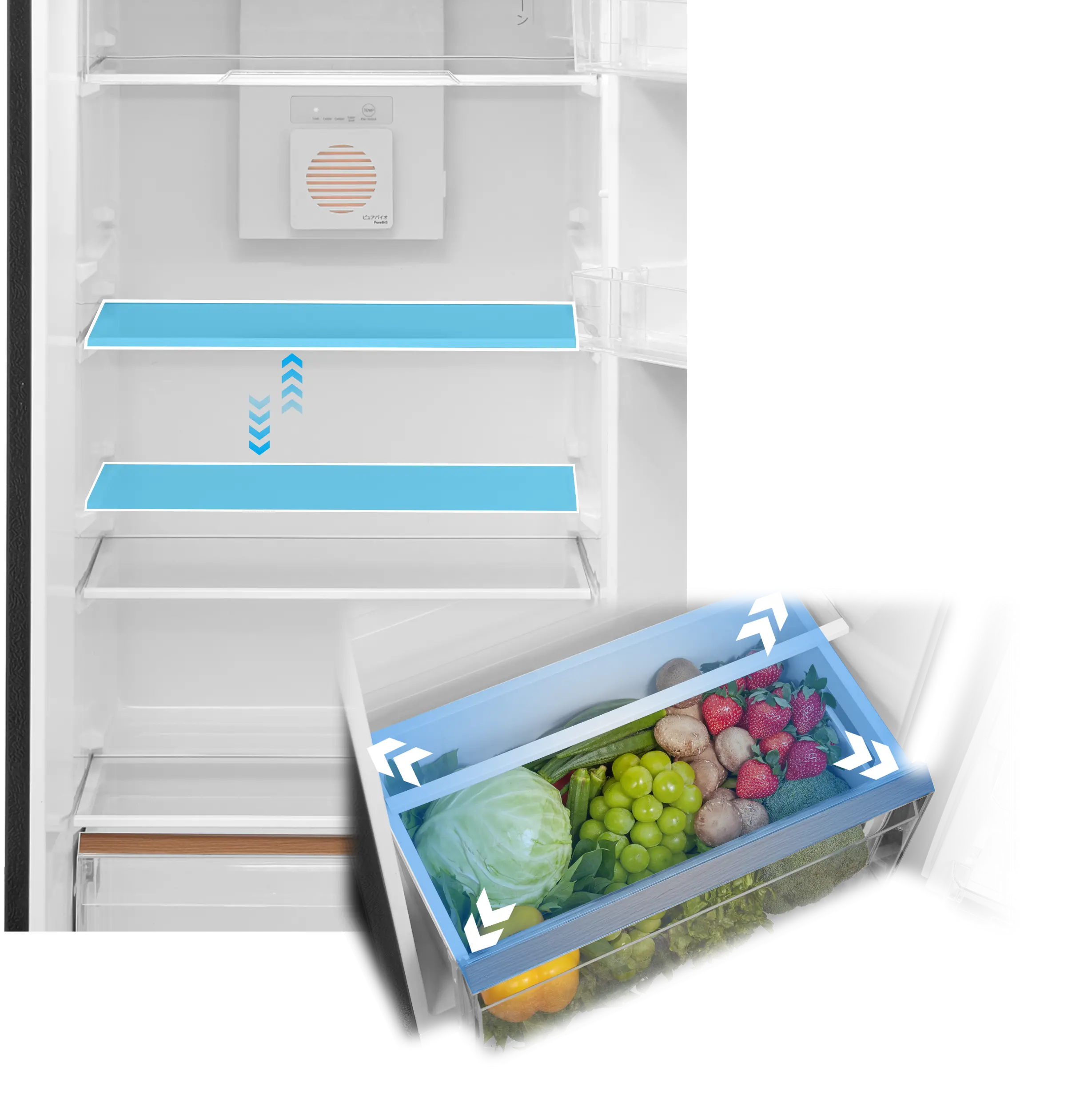 Tủ lạnh Toshiba Inverter 271 lít GR-RT349WE-PMV(68) Tủ lạnh Toshiba Inverter 271 lít GR-RT349WE-PMV(68)