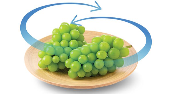 Tủ lạnh Hitachi Inverter 525 lít HRSN9552DGBVN