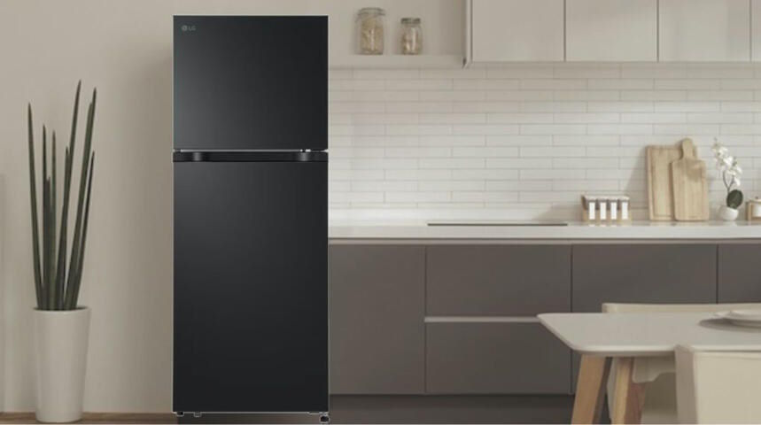 Tủ lạnh LG Inverter 217 lít T21BG