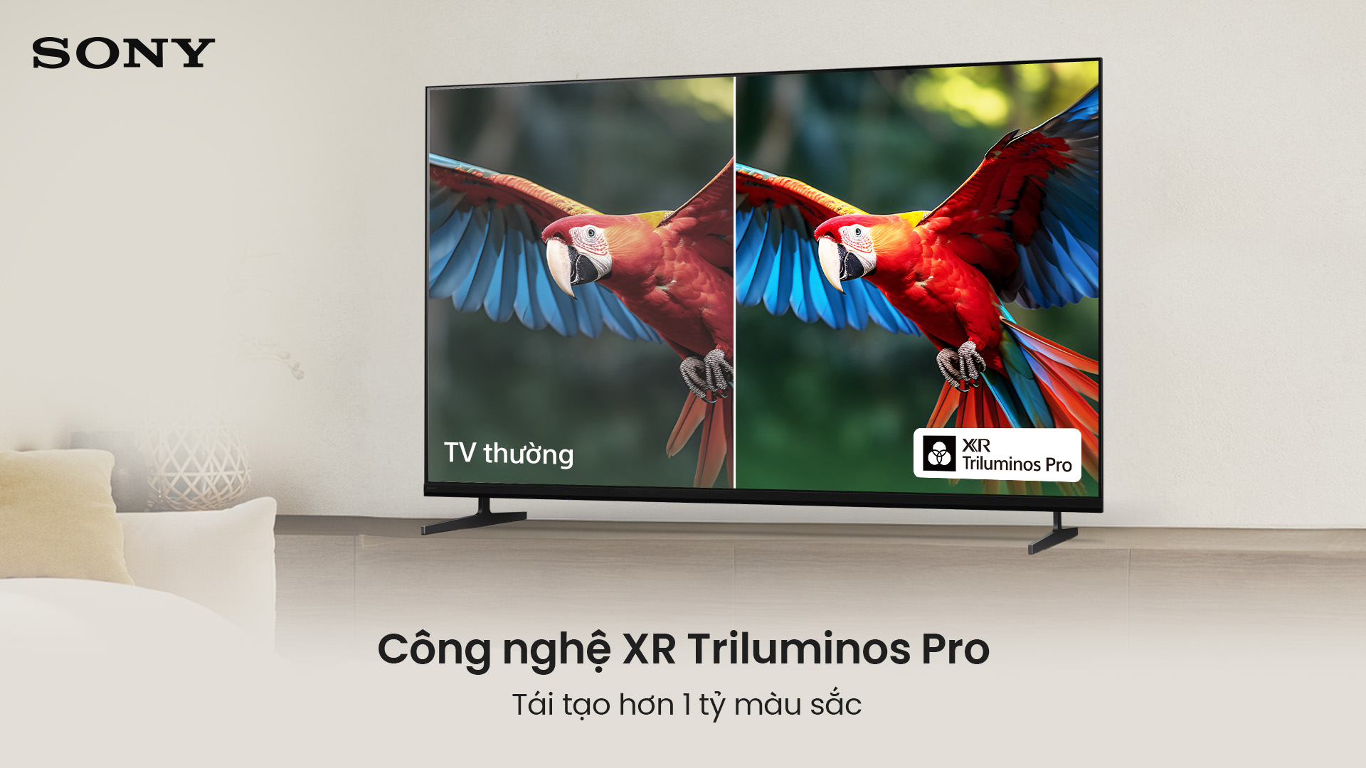 Sony Google Smart TV BRAVIA 3 II 55 Inch K-55XR30M2 Sony Google Smart TV BRAVIA 3 II 55 Inch K-55XR30M2