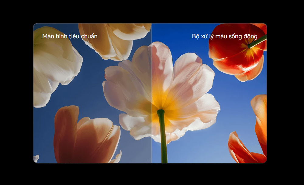 Google Tivi QD-MiniLED Xiaomi S 4K 55 inch L55MC-SSEA Google Tivi QD-MiniLED Xiaomi S 4K 55 inch L55MC-SSEA